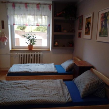 Apartman Na Slunecni Strani Trutnov Exterior foto